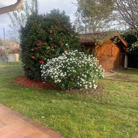 Amandiers Villa Andernos-les-Bains